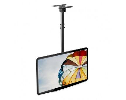 North Bayou NBT560-15 Projector Mount | Lion City Company.