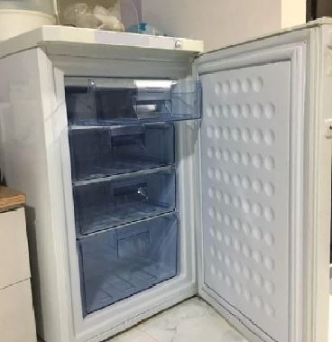 Farfalla FUF-EP120 120L Upright Freezer White | Lion City Company.