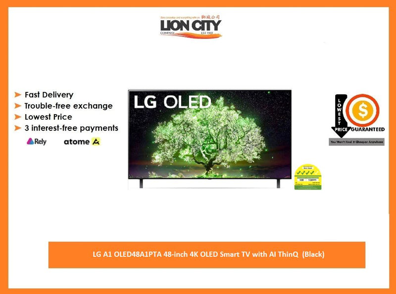 LG A1 OLED48A1PTA 48-inch 4K OLED Smart TV with AI ThinQ  (Black)