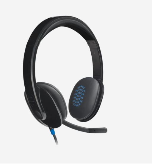 LOGITECH H540 USB STEREO HEADSET | Lion City Company.