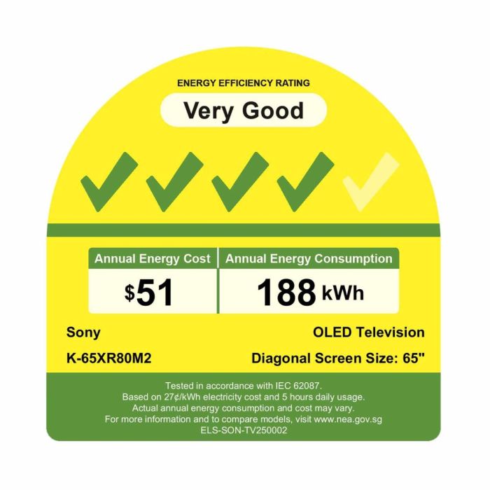 Sony Bravia XR65XR80M2 65" QD OLED Google TV