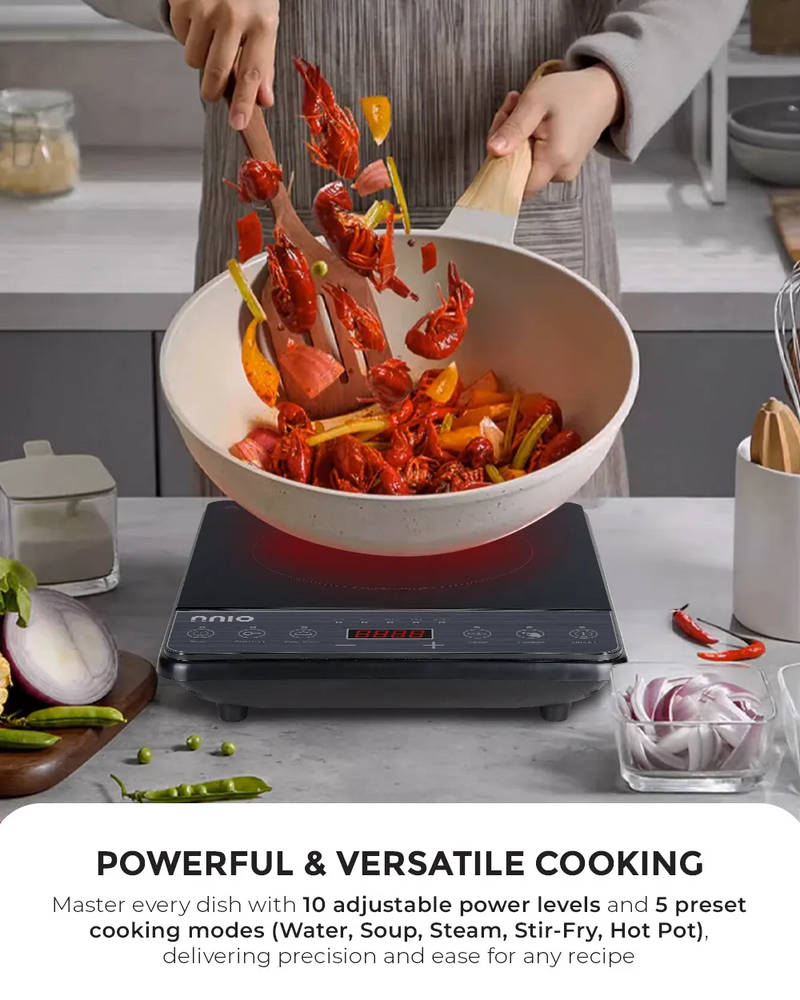 NNIO N178IC Induction Cooker with Stainless Steel Pot, 2000W