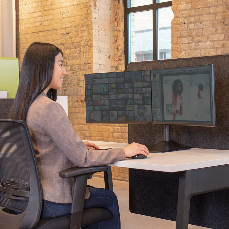 Ergotron DS100 Dual-Monitor Desk Stand Horizontal