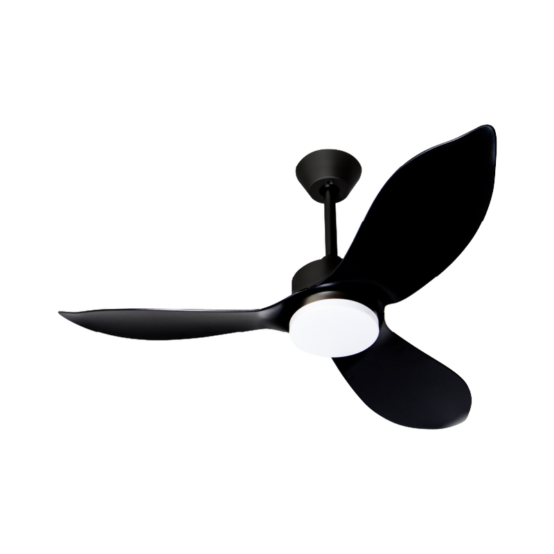 Mistral 91.4cm 3 Blades DC Ceiling Fan with Remote Control Space 36
