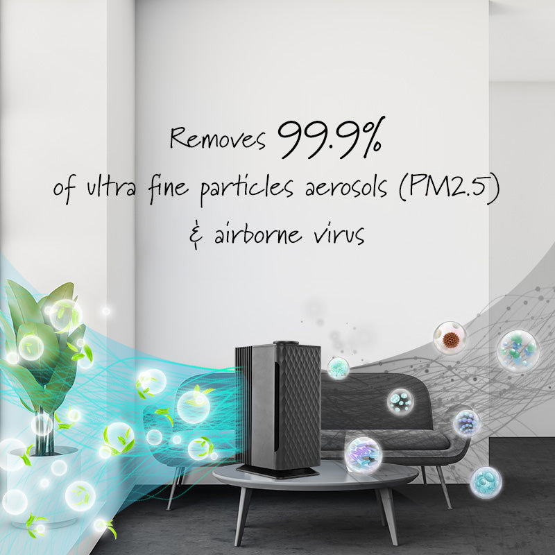 iFan HEPA Desktop Smart Air Purifier IF3255