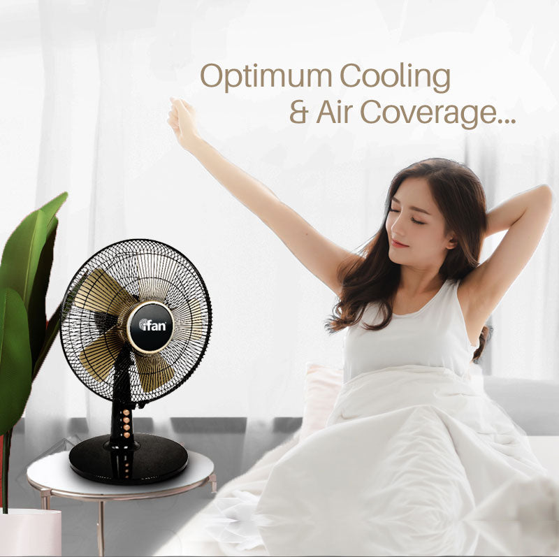 iFan 30.5cm Desk Fan IF403