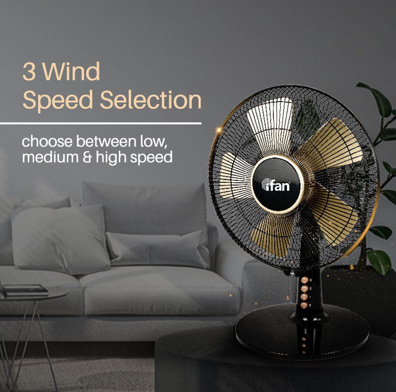 iFan 30.5cm Desk Fan IF403