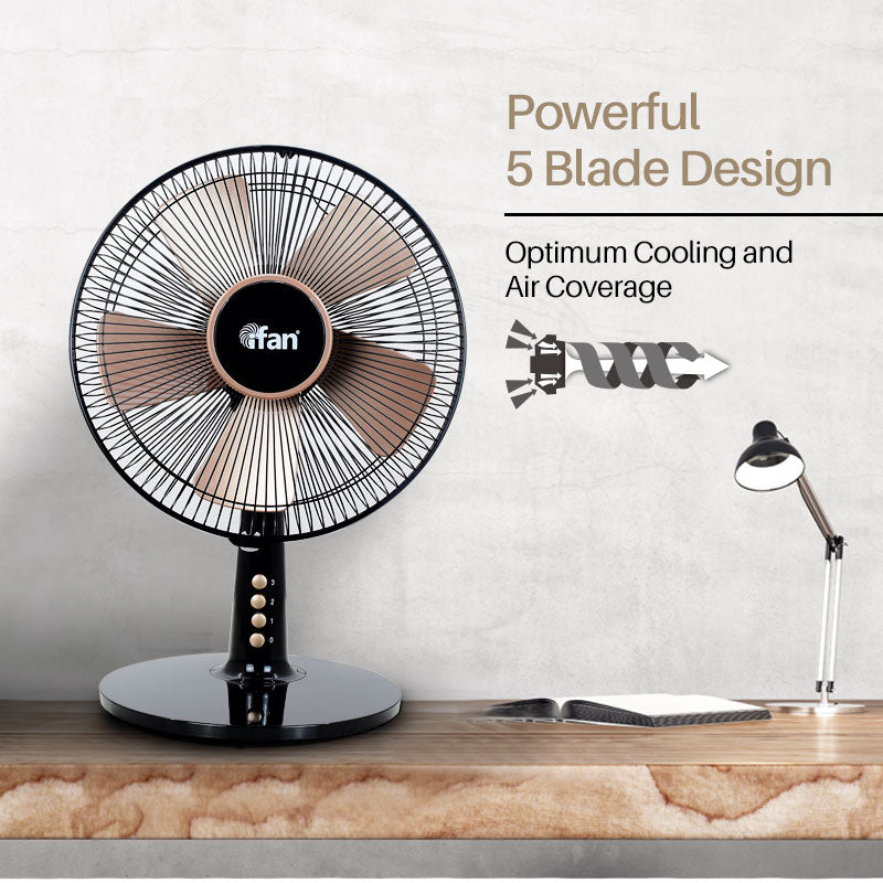 iFan 30.5cm Desk Fan IF403