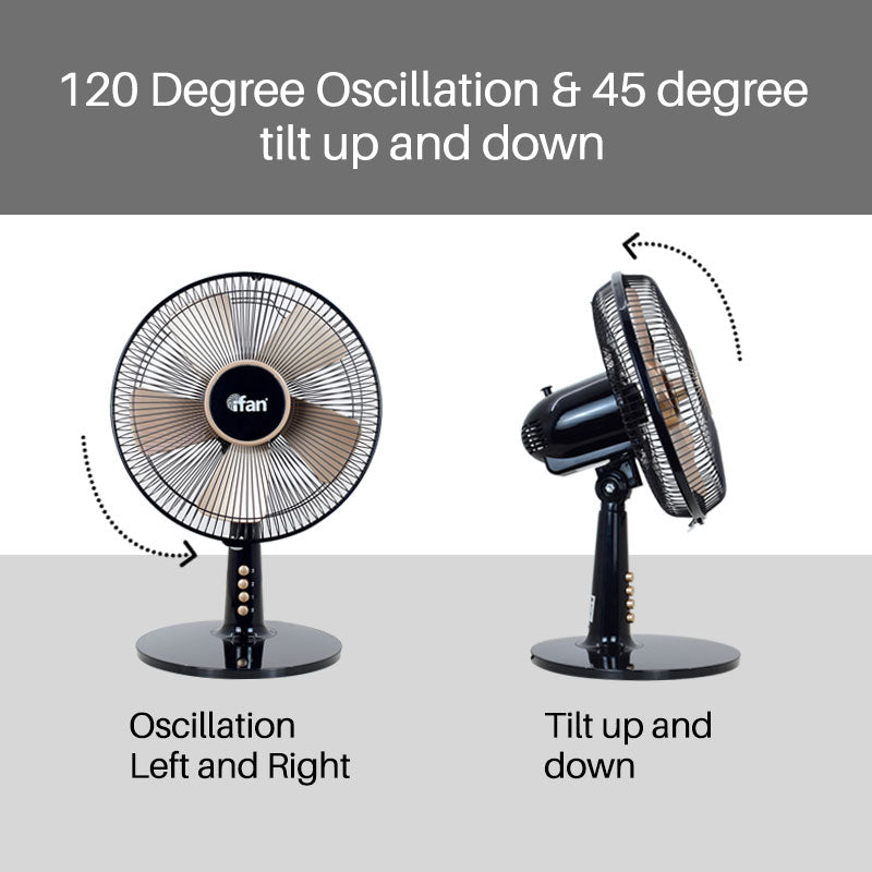 iFan 30.5cm Desk Fan IF403