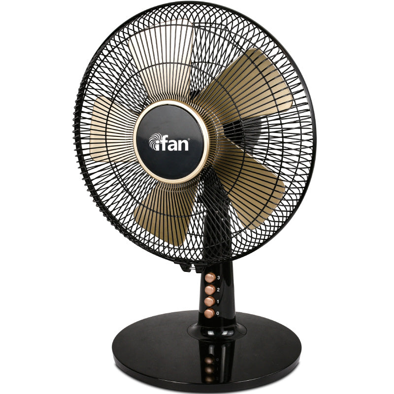 iFan 30.5cm Desk Fan IF403