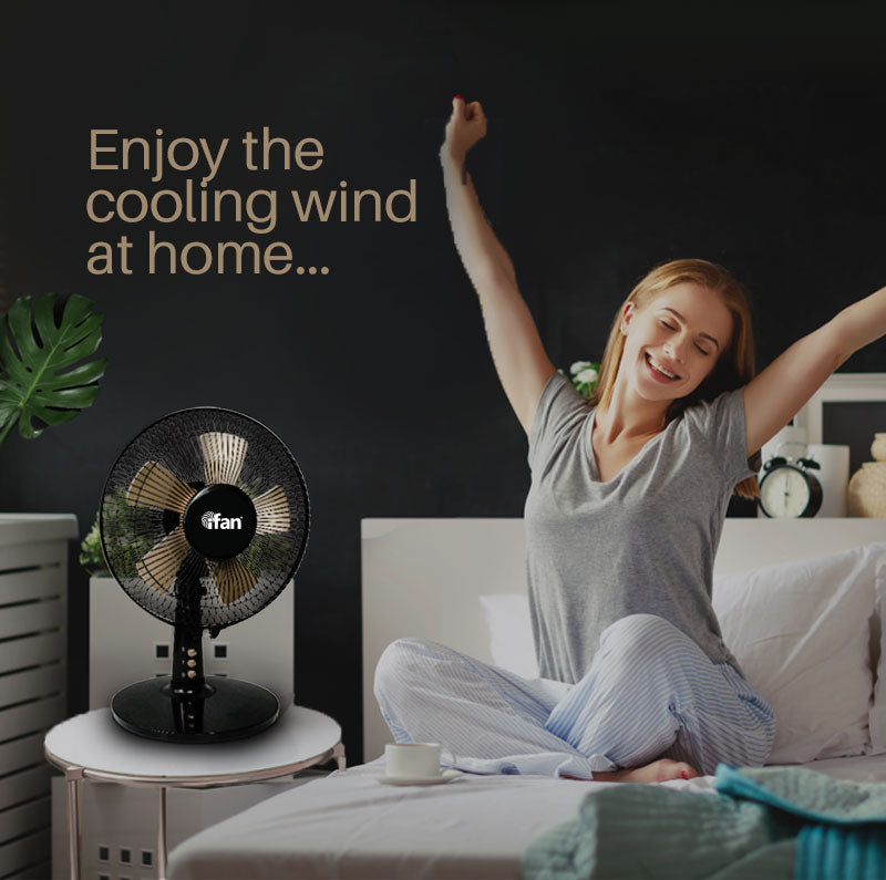 iFan 9" Turbo Desk Fan IF404