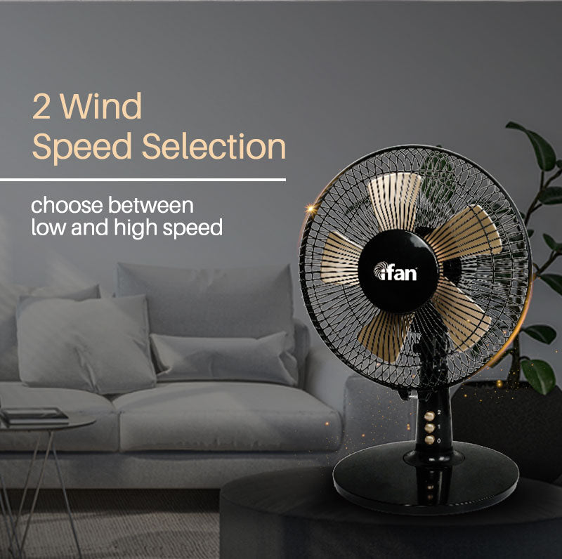 iFan 9" Turbo Desk Fan IF404