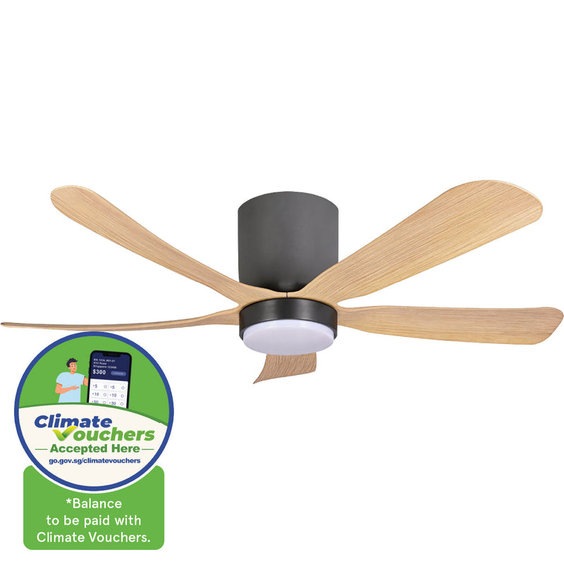 iFan 48-Inch DC Motor Ceiling Fan IF8548DGLW