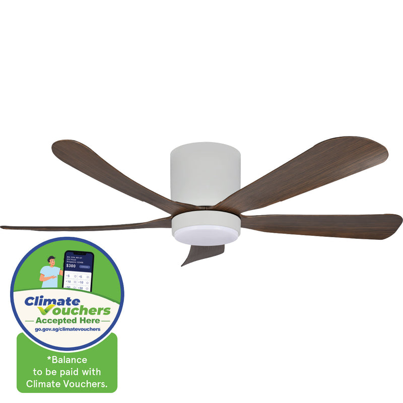 iFan 48" DC Motor Ceiling Fan IF8548LGDW