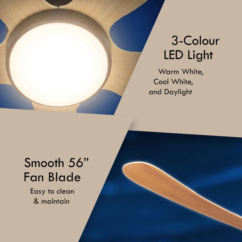iFan 56-Inch DC Motor Ceiling Fan IF8556LGLW