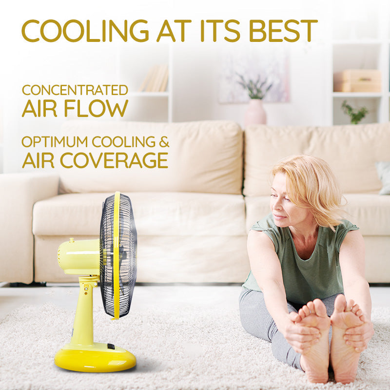 My Choice 16" Desk Fan MC505