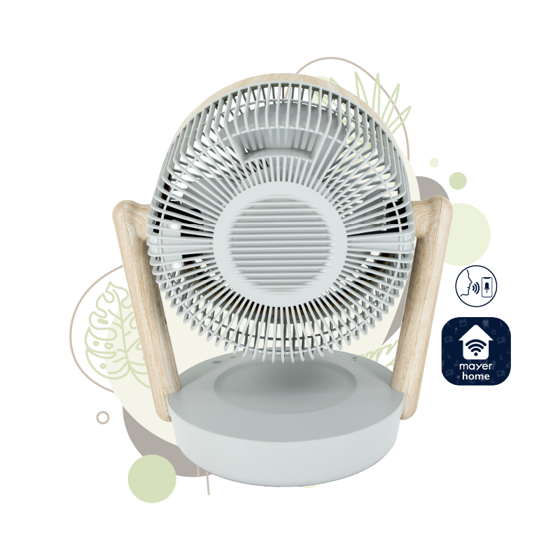 Mistral 25cm BLDC High Velocity Desk Fan MHV1012DRW-G