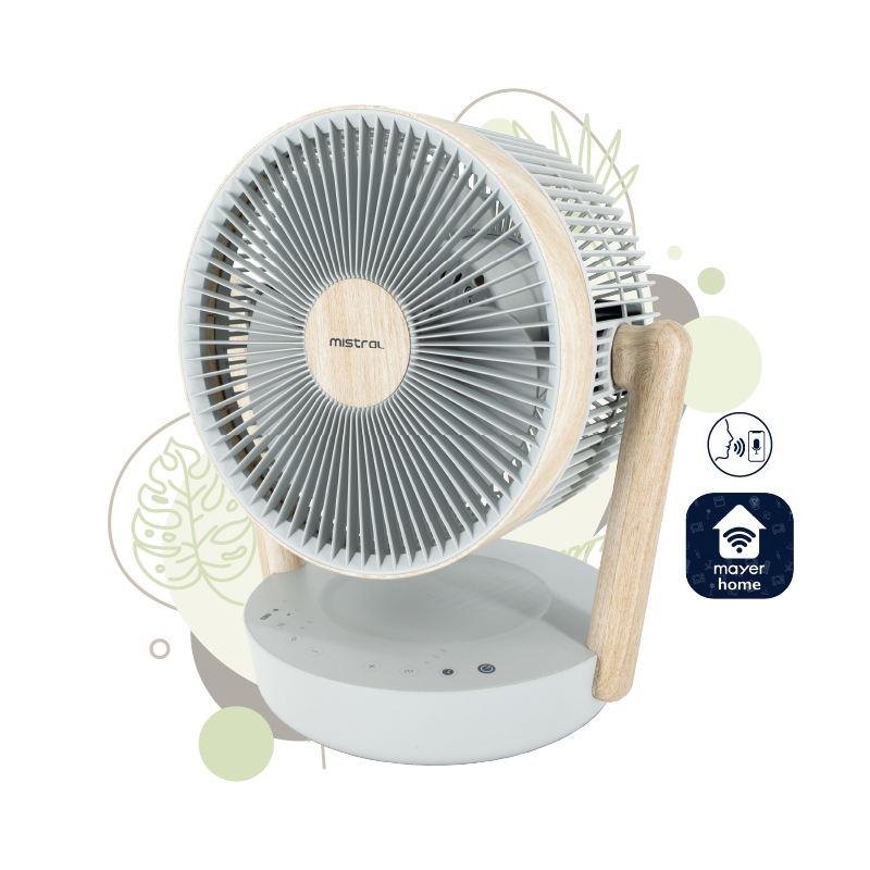 Mistral 25cm BLDC High Velocity Desk Fan MHV1012DRW-G