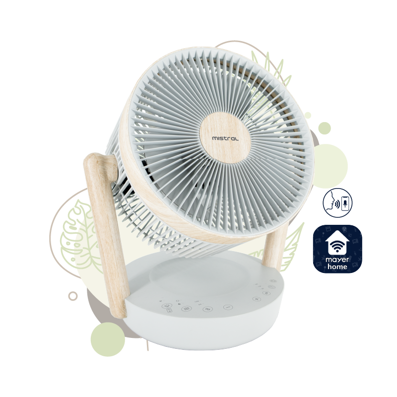 Mistral 25cm BLDC High Velocity Desk Fan MHV1012DRW-G