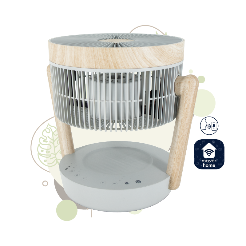 Mistral 25cm BLDC High Velocity Desk Fan MHV1012DRW-G