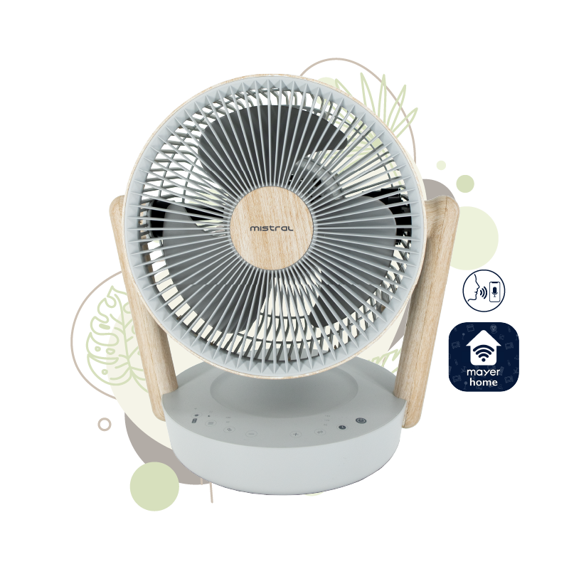 Mistral 25cm BLDC High Velocity Desk Fan MHV1012DRW-G