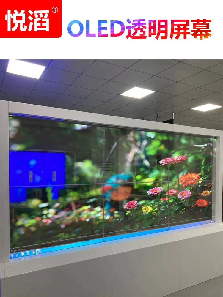 55-inch Transparent OLED Display Panel with Self-Emitting Screen