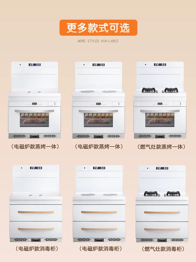 Shengxing Pure White Variable Frequency Dual Induction Hob Electric Ceramic Integrated Stove with Side Suction Downward Exhaust Left Oven Right Steamer