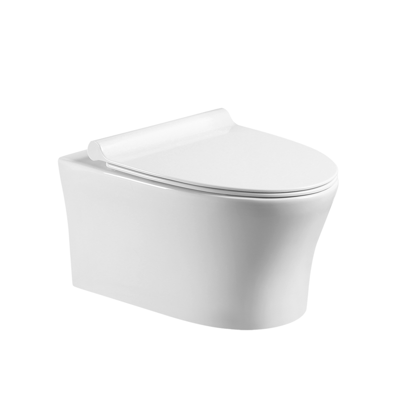 Rubine PN-305P07 Wall-Hung Toilet White