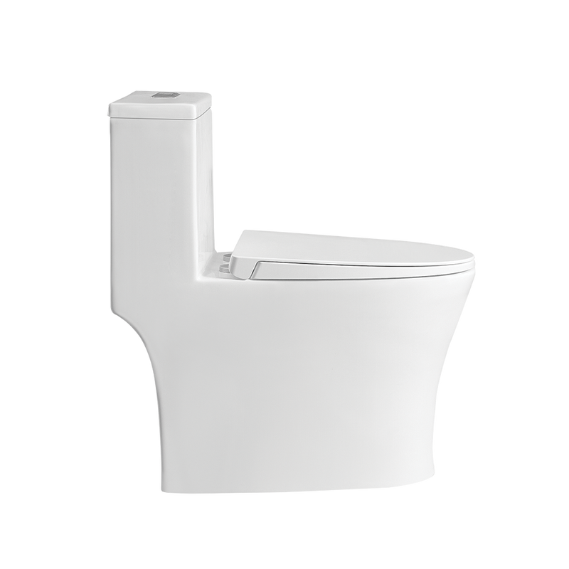 Rubine PN-105S06 One-Piece Toilet Bowl White