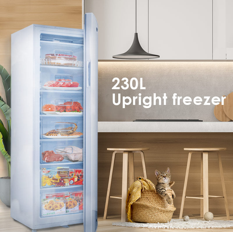 PowerPac 230L Upright Freezer PPFZ230