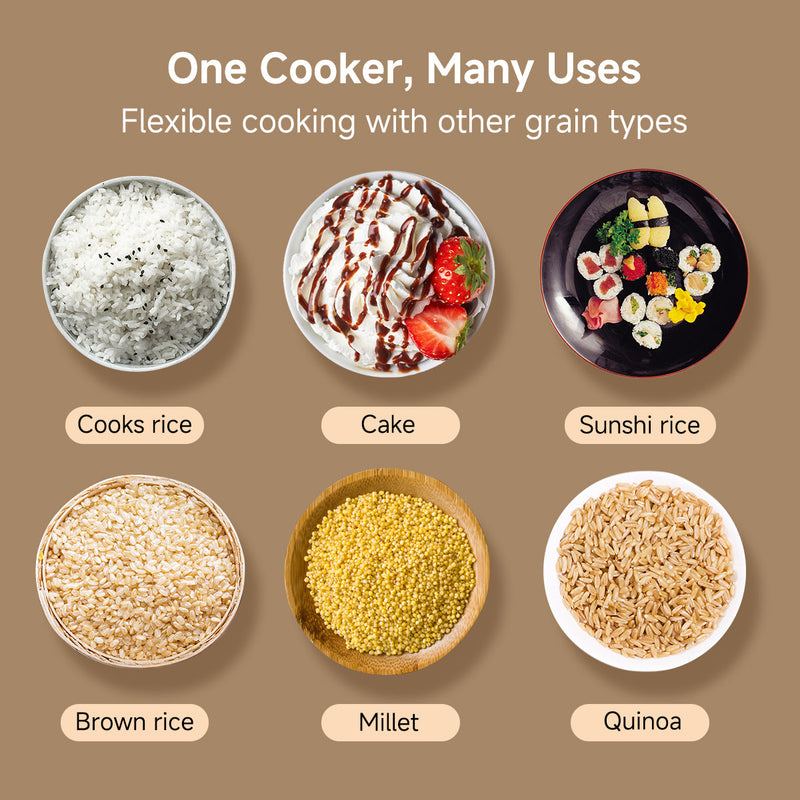 PowerPac 0.8L Rice Cooker PPRC610