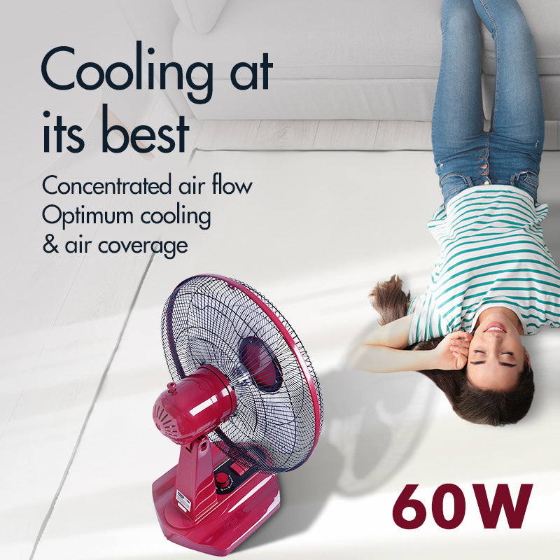 PowerPac 16" Desk Fan PPTF16