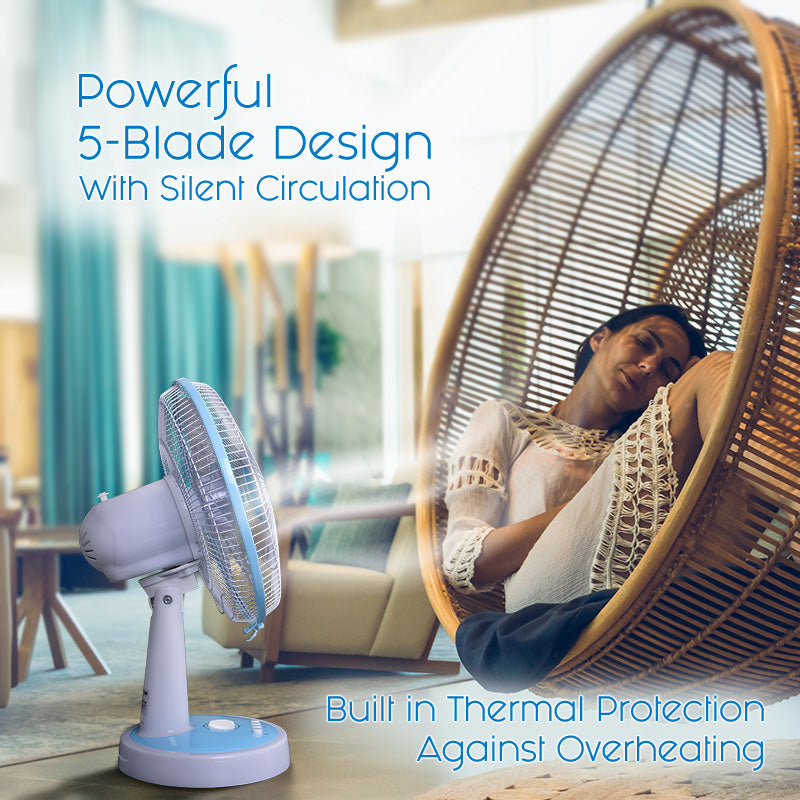 PowerPac 12" Desk Fan PPTF303