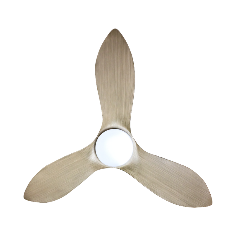 Mistral 91.4cm 3 Blades DC Ceiling Fan with Remote Control Space 36