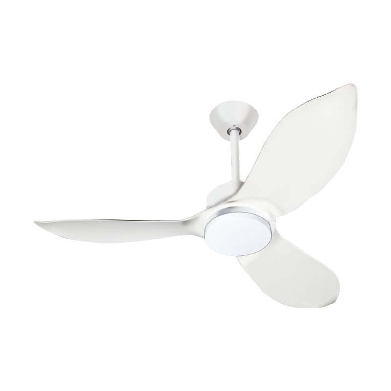 Mistral 91.4cm 3 Blades DC Ceiling Fan with Remote Control Space 36