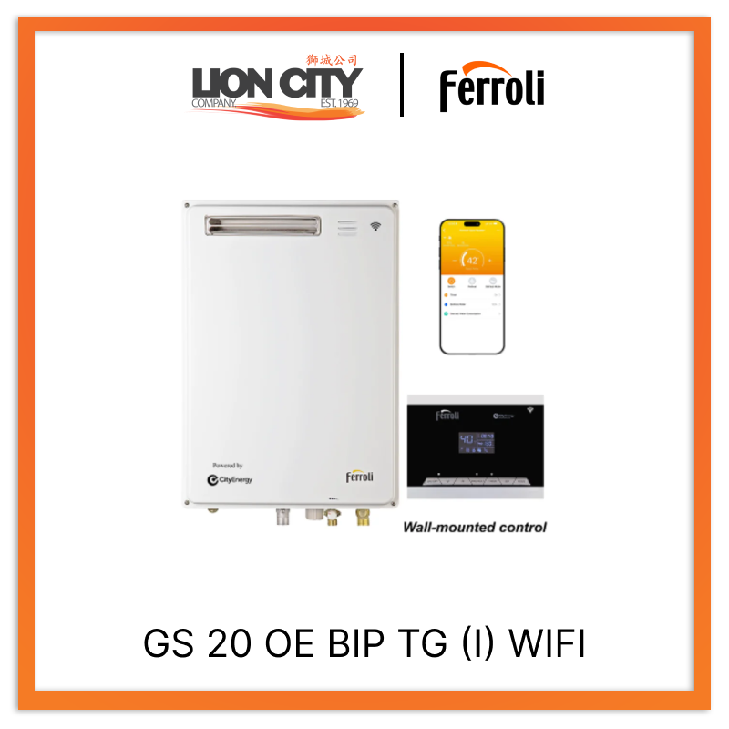 Ferroli GS 20 OE BIP TG (I) WIFI Gas Water Heater