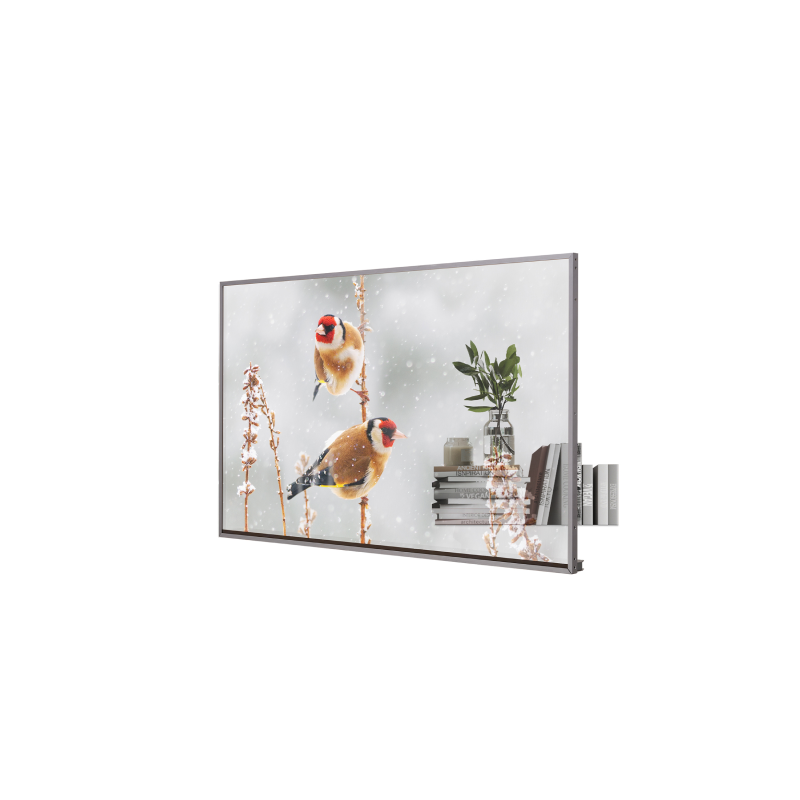 LG 55EW5P-M 55" Transparent OLED Signage "Contact for Price"