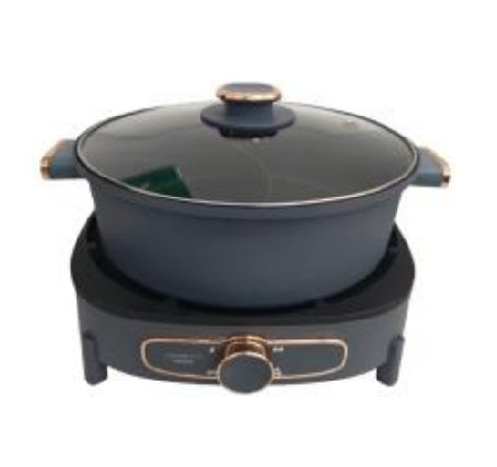 AIWA AW-TS50-GR 5L Single Hotpot