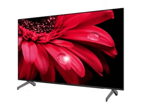 Sharp TV 4T-C55FL1X 55-inch 4K UHD Google
