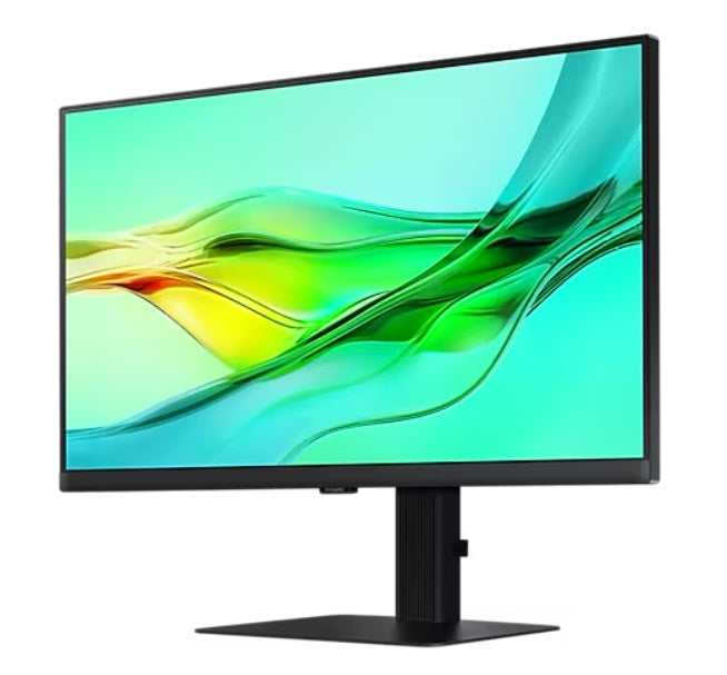 Samsung LS24D604UAEXXS 24“ ViewFinity S6 S60UD QHD Monitor