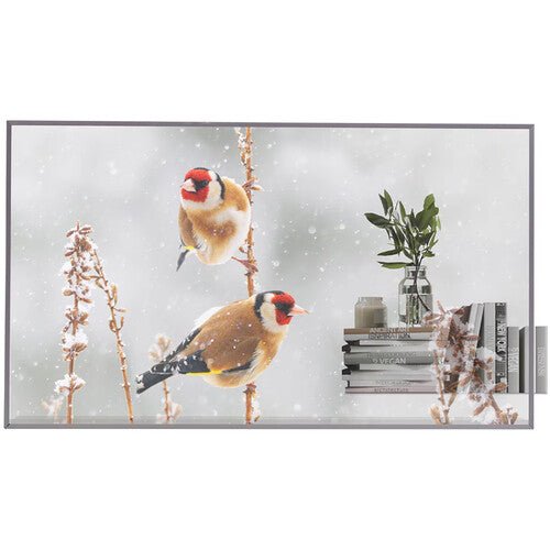 LG 55EW5P-M 55-inch Transparent OLED Signage Display