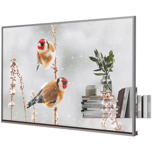 LG 55EW5P-M 55-inch Transparent OLED Signage Display