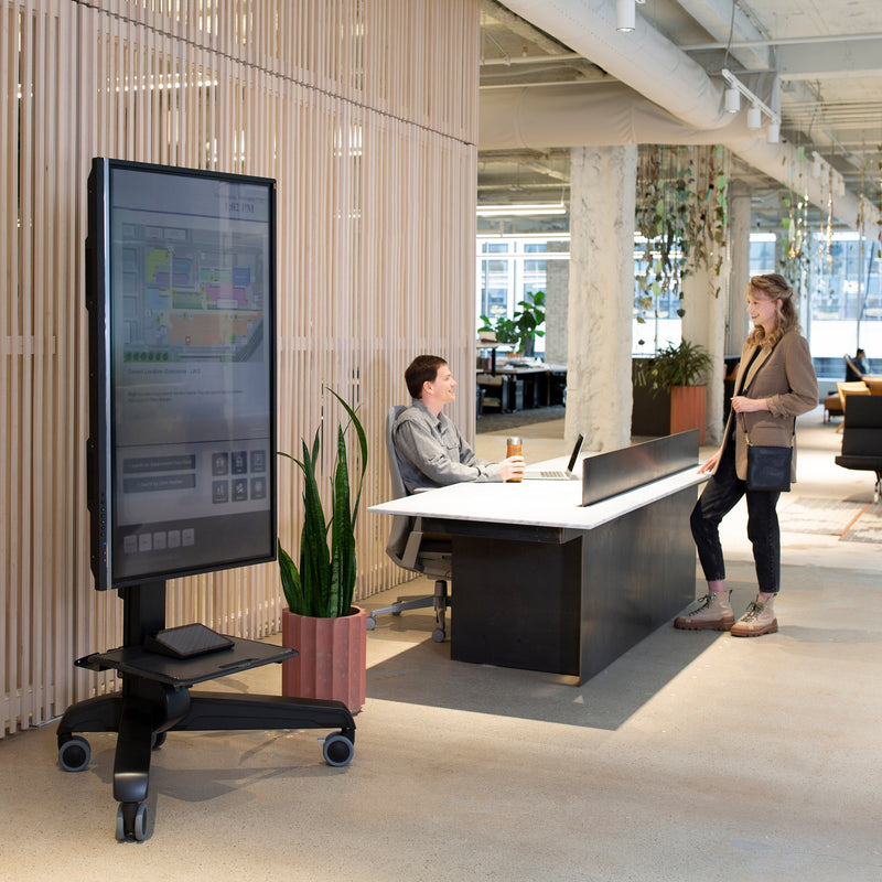 Ergotron Neo-Flex Mobile MediaCenter UHD Stand 24-192-085