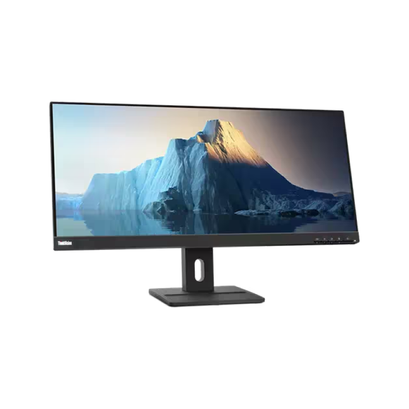 Lenovo ThinkVision E29w-20 29-inch WFHD LED Backlit LCD Monitor 62CEGAR3WW