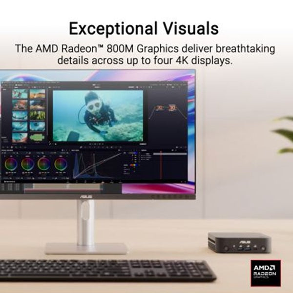 ASUS PN55-S50019NL PN55 AMD System 90MS03C1-M000L0 Mini PC Ryzen AI 5 430 DDR5 16G x1 1TB Win 11 Pro