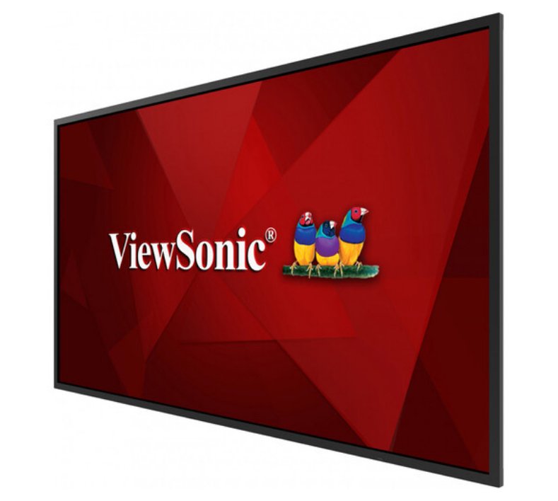 ViewSonic CDE6530 65 Inch 4K Interactive Presentation Display