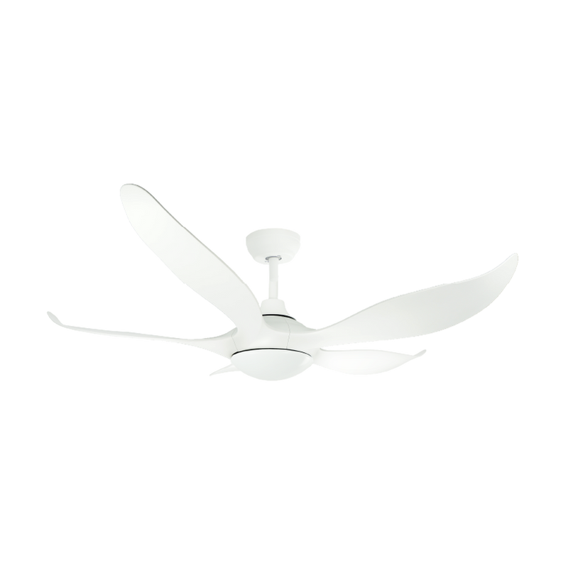 Mistral 132cm 5 Blade DC Ceiling Fan Typhoon 52