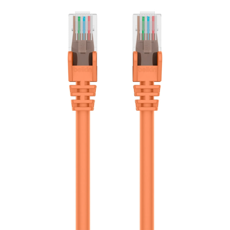 Belkin Master A3L980bt01MBLUS Cat6 Snagless Patch Cable | Lion City Company.