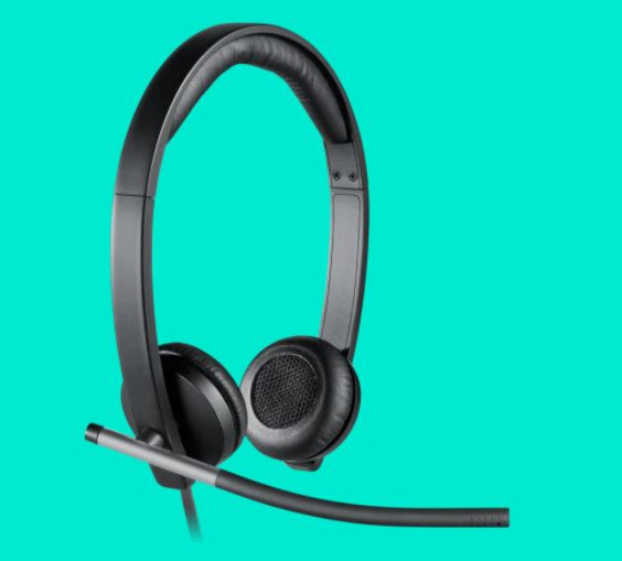 Logitech H650e Usb Stereo Headset - Lion City Company